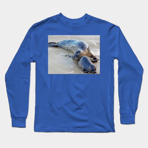 Snuggling seals Long Sleeve T-Shirt by FriendlyComputerHelp